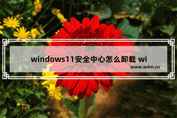 windows11安全中心怎么卸载 windows11安全中心卸载教程