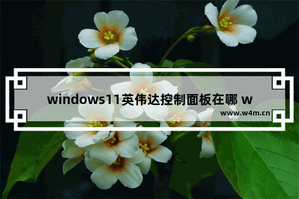 windows11英伟达控制面板在哪 windows11英伟达控制面板位置介绍