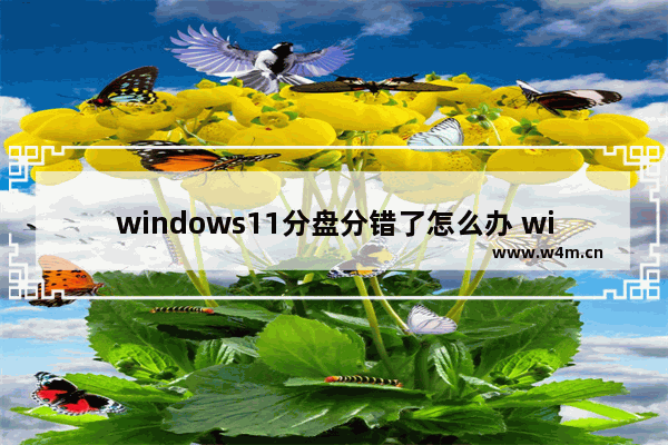 windows11分盘分错了怎么办 windows11分盘分错了解决办法