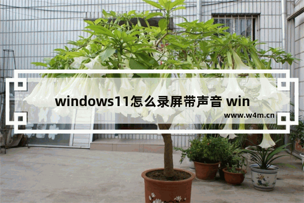 windows11怎么录屏带声音 windows11录屏带声音教程