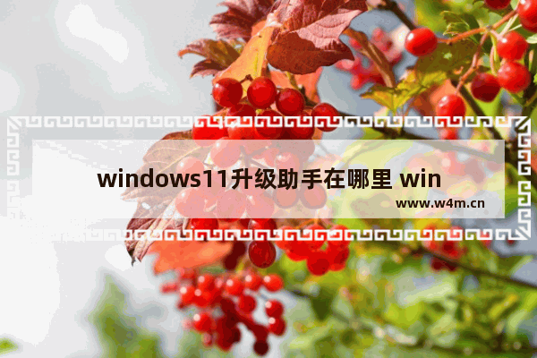 windows11升级助手在哪里 windows11升级助手下载目录在哪