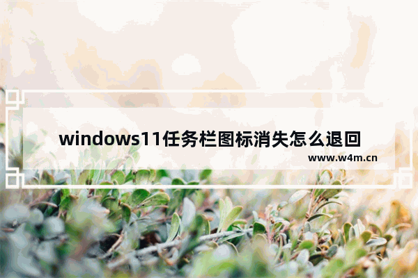 windows11任务栏图标消失怎么退回 windows11任务栏图标消失解决办法