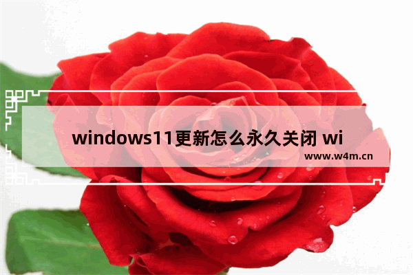 windows11更新怎么永久关闭 windows11关闭自动更新永久方法