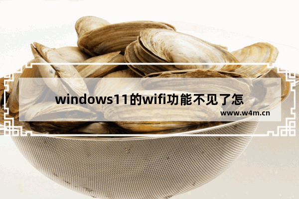 windows11的wifi功能不见了怎么办 windows11的wifi功能不见了解决办法