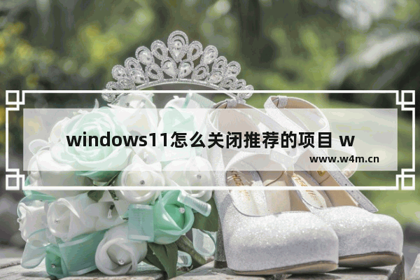 windows11怎么关闭推荐的项目 windows11关闭推荐的项目教程