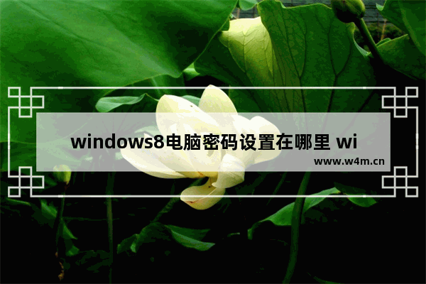 windows8电脑密码设置在哪里 windows8电脑密码怎么设置