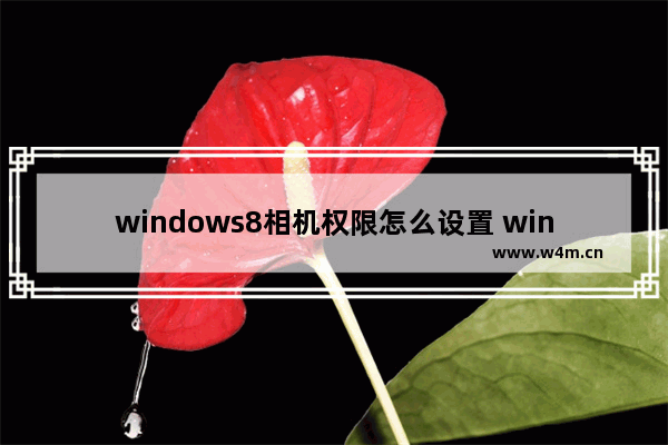 windows8相机权限怎么设置 windows8相机权限设置方法