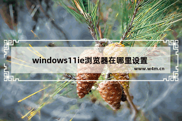 windows11ie浏览器在哪里设置 windows11ie浏览器设置位置