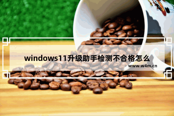 windows11升级助手检测不合格怎么办 windows11升级助手检测不合格解决办法