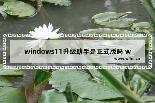 windows11升级助手是正式版吗 windows11安装助手是正式版吗