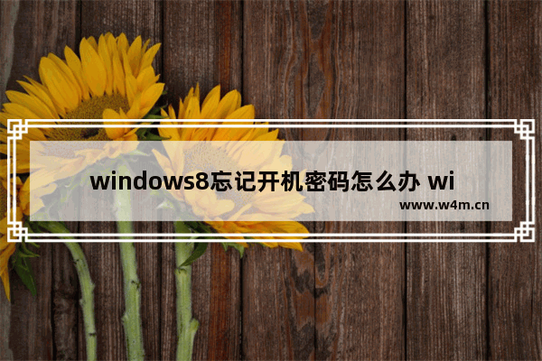 windows8忘记开机密码怎么办 windows8忘记开机密码解决方法