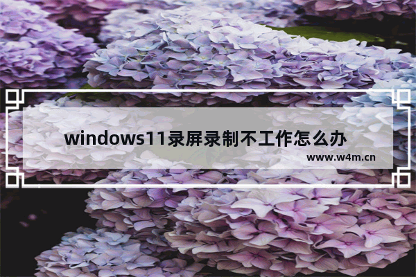 windows11录屏录制不工作怎么办 windows11录屏录制不工作解决方法