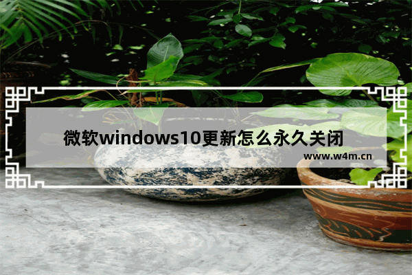 微软windows10更新怎么永久关闭 微软windows10更新永久关闭方法