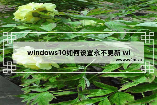 windows10如何设置永不更新 windows10设置永不更新教程