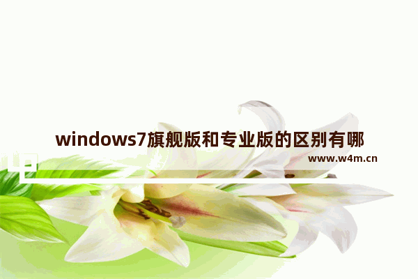 windows7旗舰版和专业版的区别有哪些 windows7旗舰版和专业版的有什么区别