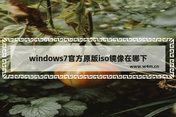 windows7官方原版iso镜像在哪下载 windows7官方原版iso镜像下载方法