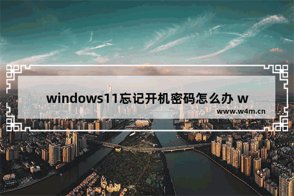 windows11忘记开机密码怎么办 windows11忘记开机密码解决办法