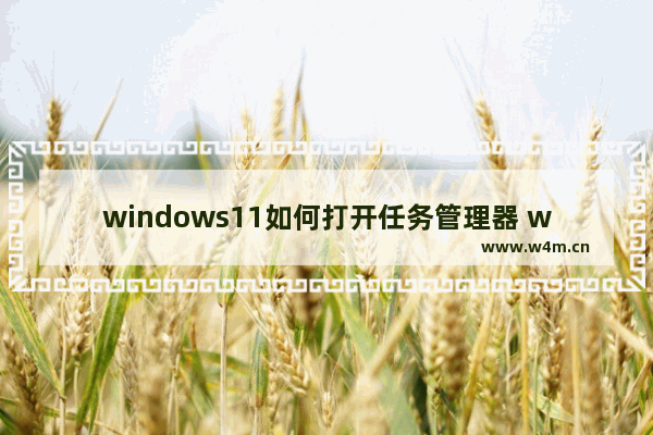 windows11如何打开任务管理器 windows11打开任务管理器方法