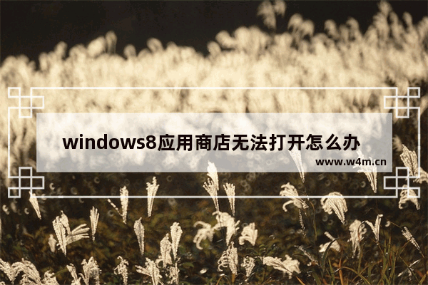 windows8应用商店无法打开怎么办 windows8应用商店无法打开解决方法