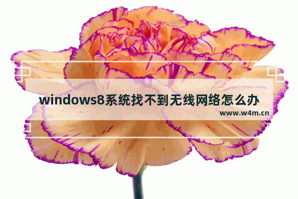 windows8系统找不到无线网络怎么办 windows8系统找不到无线网络解决方法