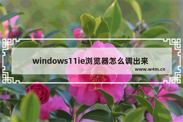 windows11ie浏览器怎么调出来 windows11ie浏览器调出来方法