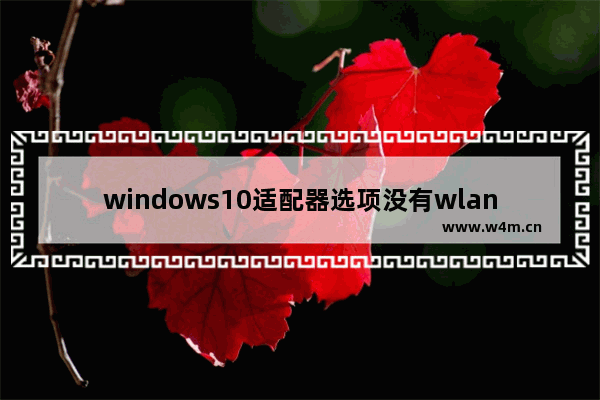 windows10适配器选项没有wlan怎么办 windows10适配器选项没有wlan解决办法