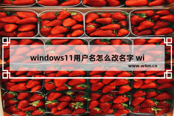 windows11用户名怎么改名字 windows11用户名修改名字教程