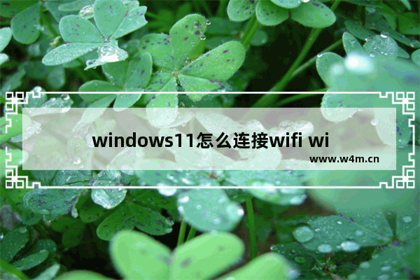 windows11怎么连接wifi windows11连接wifi方法