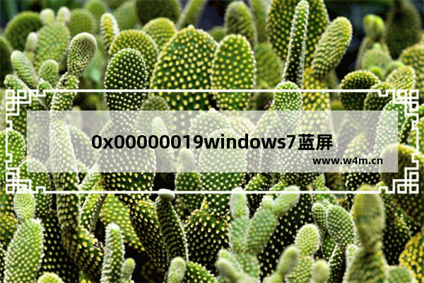 0x00000019windows7蓝屏怎么修复 0x00000019windows7蓝屏修复方法