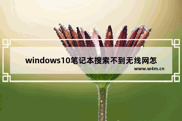 windows10笔记本搜索不到无线网怎么办 windows10笔记本搜索不到无线网解决办法