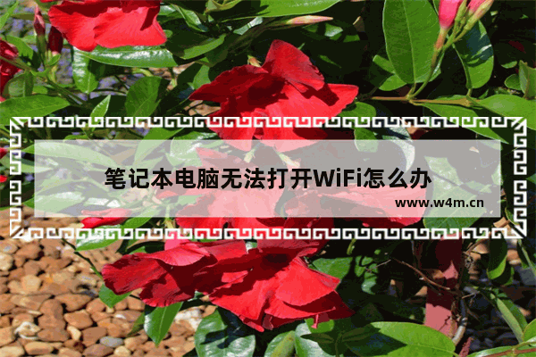 笔记本电脑无法打开WiFi怎么办