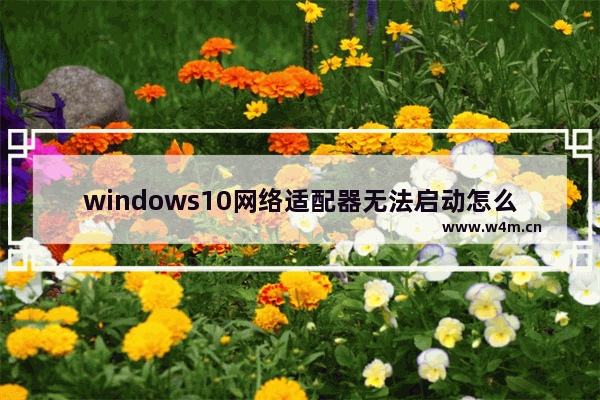 windows10网络适配器无法启动怎么办 windows10网络适配器无法启动解决办法