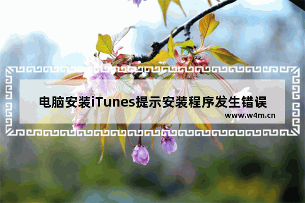 电脑安装iTunes提示安装程序发生错误怎么办