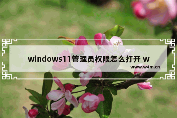 windows11管理员权限怎么打开 windows11管理员权限打开方法