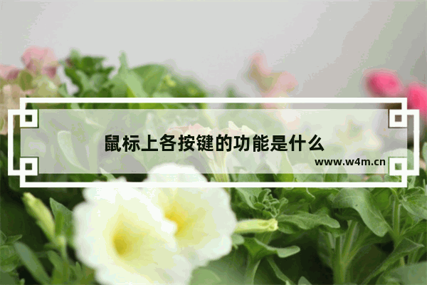 鼠标上各按键的功能是什么