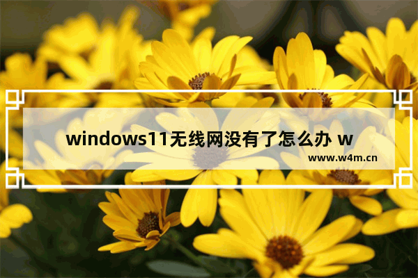 windows11无线网没有了怎么办 windows11无线网没有了解决办法