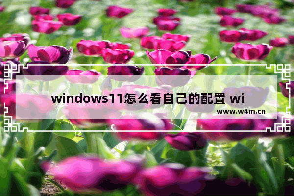 windows11怎么看自己的配置 windows11查看自己的配置方法