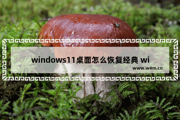 windows11桌面怎么恢复经典 windows11桌面恢复经典方法