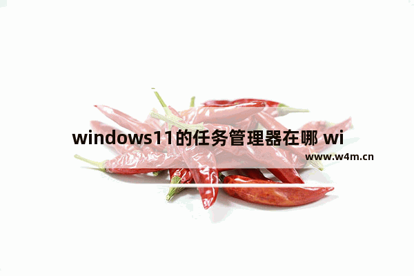 windows11的任务管理器在哪 windows11的任务管理器位置介绍