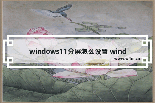 windows11分屏怎么设置 windows11分屏怎么用