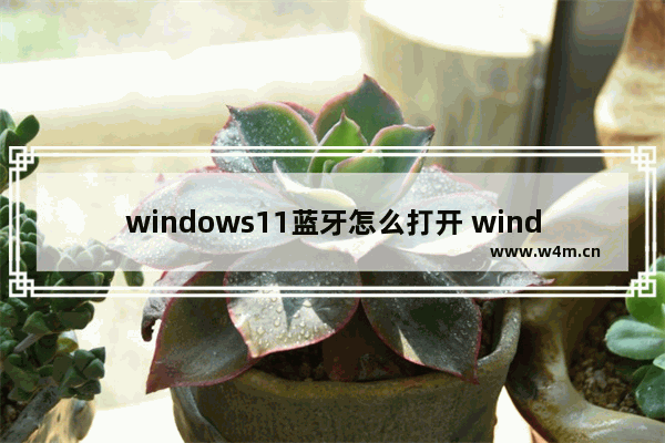 windows11蓝牙怎么打开 windows11蓝牙打开方法