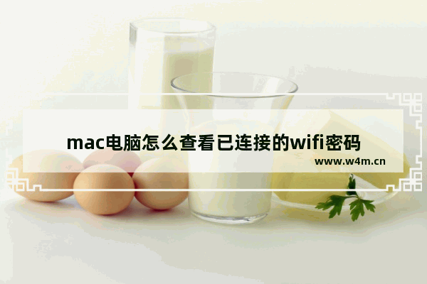 mac电脑怎么查看已连接的wifi密码