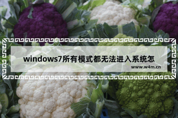 windows7所有模式都无法进入系统怎么办 windows7所有模式都无法进入系统解决方法