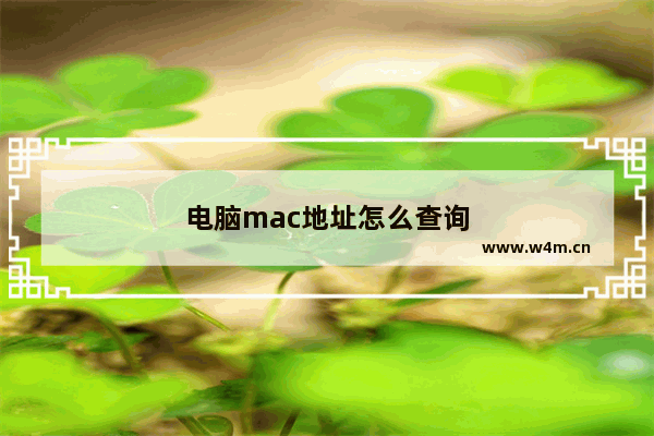 电脑mac地址怎么查询