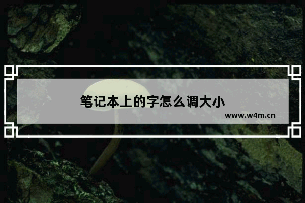 笔记本上的字怎么调大小