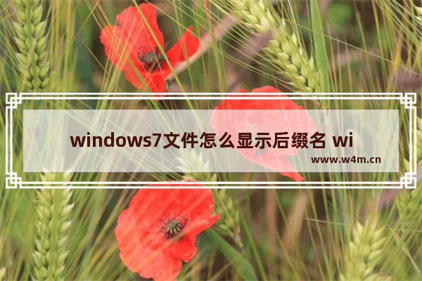 windows7文件怎么显示后缀名 windows7文件如何显示后缀名