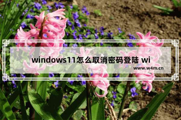 windows11怎么取消密码登陆 windows11取消密码登陆方法