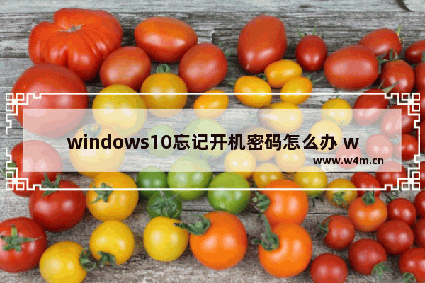 windows10忘记开机密码怎么办 windows10忘记开机密码解决办法