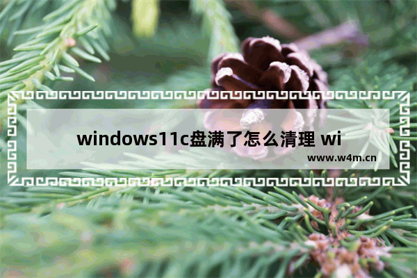 windows11c盘满了怎么清理 windows11c盘满了清理方法