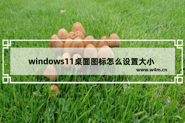 windows11桌面图标怎么设置大小 windows11桌面图标设置大小教程